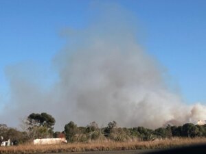 Incendio forestal en El Saler